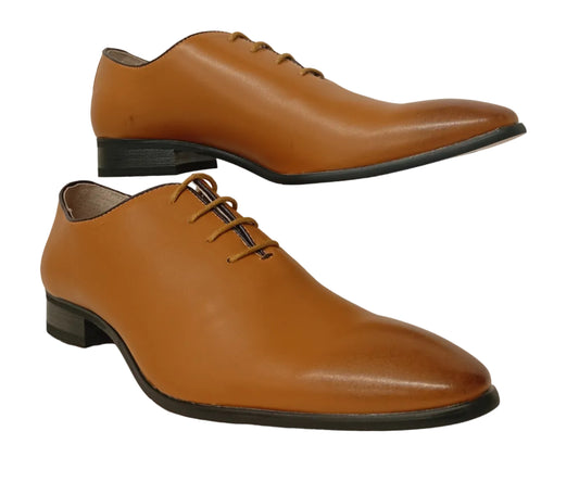 2E89-29 Camel