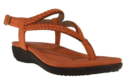 6K339-5 Orange